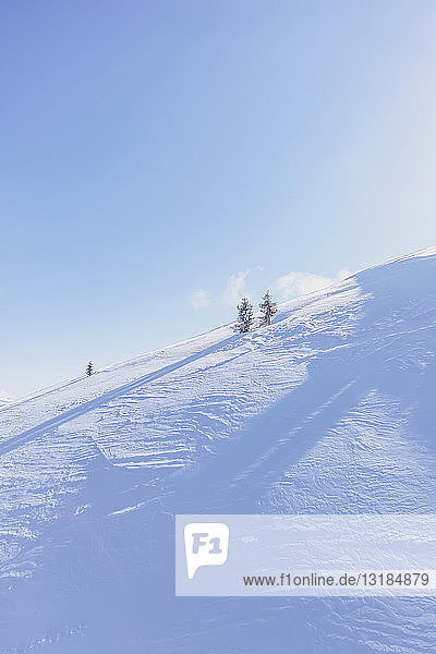 Österreich  Saalbach-Hinterglemm  Skigebiet