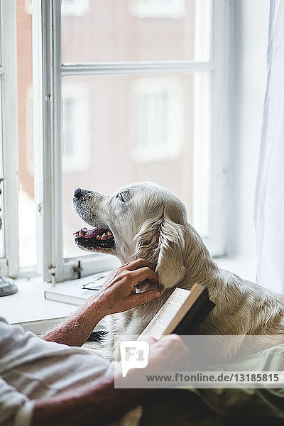 Midsection of senior man stroking dog while holding book on bed at home
