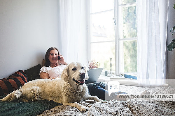 Dog resting with senior woman talking on mobile phone on bed at home