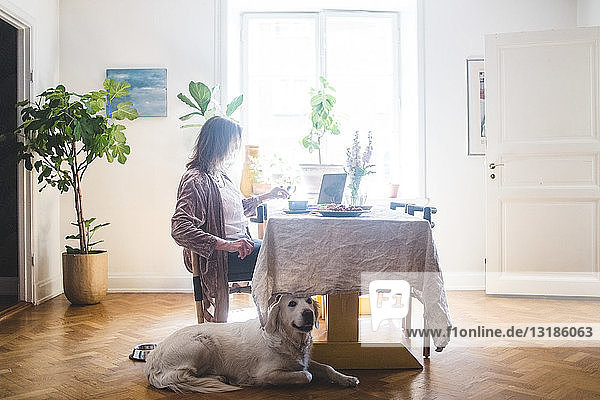 Dog sitting by woman having breakfast at table while working from home