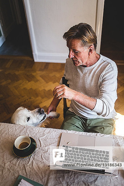 Hochwinkelaufnahme eines älteren Mannes  der mit seinem Hund spielt  während er zu Hause am Laptop arbeitet
