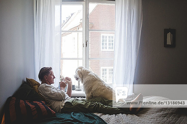 Älterer Mann spielt mit Hund  während er sich zu Hause am Fenster ans Bett lehnt