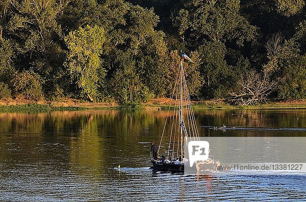 France,  Indre et Loire,  Loire Valley,  listed as a World heritage site by UNESCO,  La Chapelle sur Loire,  traditionnal boat on the Loire river