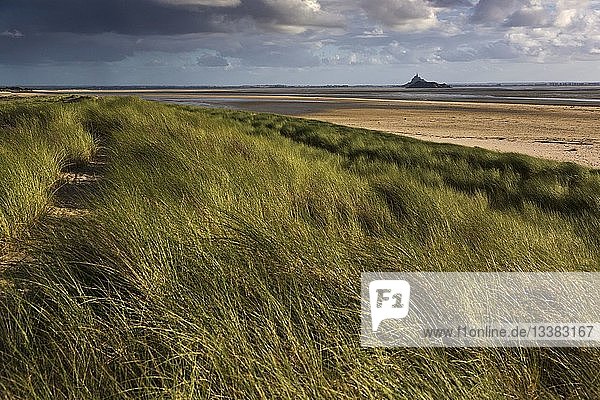 France,  Manche,  Bay of Mont Saint Michel,  listed as World Heritage by UNESCO,  near Genets,  Dragey Dunes