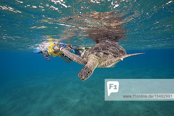 Frau und kleiner Junge mit Maske und Flossen schwimmen mit der Grünen Meeresschildkröte (Chelonia mydas) unter der Oberfläche des blauen Wassers  Rotes Meer  Abu Dabab  Marsa Alam  Ägypten  Afrika