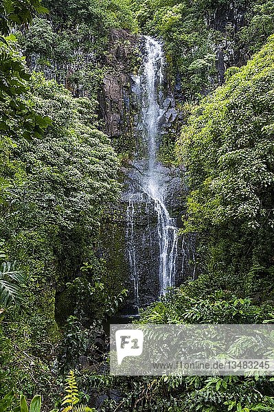 Makahiku-Fälle in grüner Vegetation Haleakal? Nationalpark Maui Hawaii USA Nordamerika