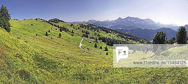 Panoramablick zum Peitlerkofel  Sasso delle Putia  mit Blick auf die Fanesgruppe  Alta Badia  Dolomiten  Südtirol  Italien  Europa