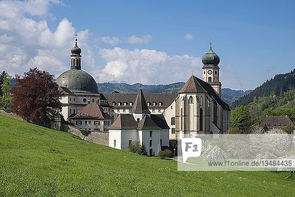Abtei St. Trudpert  ehemaliges Benediktinerkloster  MÃ¼nstertal  Schwarzwald  Baden-WÃ¼rttemberg  Deutschland  Europa