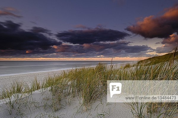 Weststrand von Hörnum im Abendlicht Sylt Nordfriesland Schleswig-Holstein Deutschland Europa