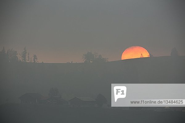 Sonnenuntergang im Hochnebel Hörli Wald Appenzell Ausserrhoden Schweiz Europa