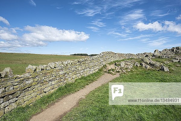 Wanderweg entlang des Hadrianswalls  Haltwhistle  Northumberland  England  Vereinigtes Königreich  Europa