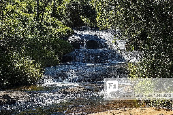 Williams Falls auf dem Zomba Plateau Malawi Afrika