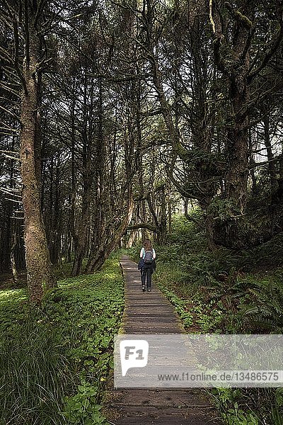 Tourist on her way through rainforest  Pacific Rim National Park  Vancouver Island  British Columbia  Canada  North America
