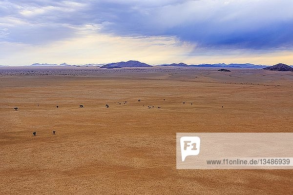 Luftaufnahme  Wüstenlandschaft  Rand der Namib-Wüste  Namib-Naukluft-Nationalpark  Erongo-Region  Namibia  Afrika