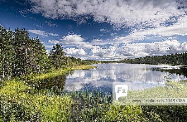Himmel und Wolken spiegeln sich im See  Waldtundra  Lappi  Finnland  Europa