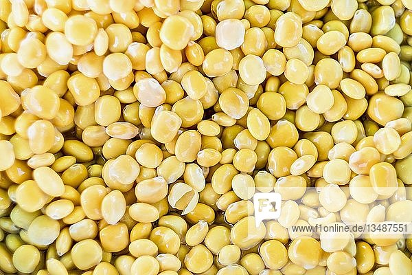 Lupin beans in salted water  background image