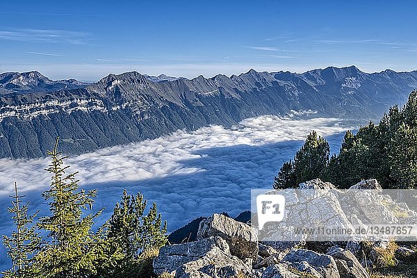 Brienzersee im Nebel  Blick von der Daube  Schynige Platte  Berner Alpen  Schweiz  Europa