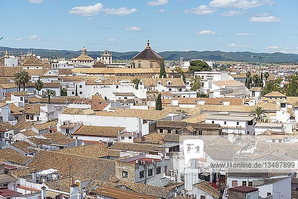 Ansicht von Dächern mit Kathedrale  Córdoba  Andalusien  Spanien  Europa