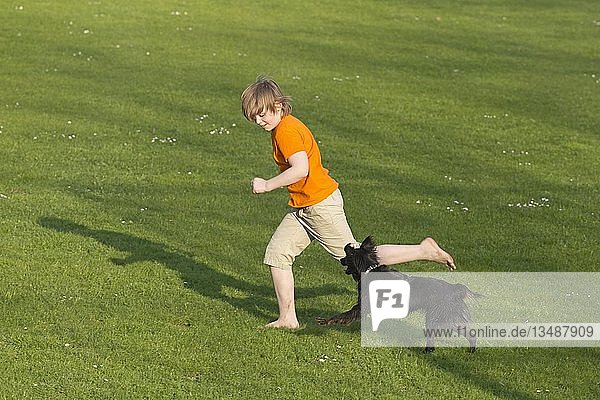 Junge läuft mit Hund über eine Wiese