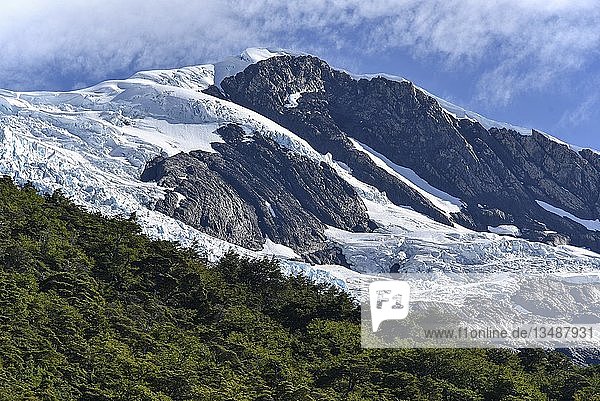 Gletscher mit Wald im Nationalpark Parque Nacional Los Glaciares Argentinien Patagonien Südamerika