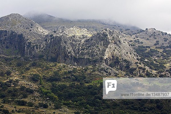 Felsmassiv im Nebel  Naturpark Sierra de Grazalema  Sierra de Pinar  Grazalema  Provinz Cadiz  Andalusien  Spanien  Europa