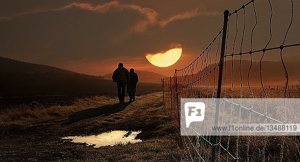 Älteres Ehepaar  das entlang eines Weidezauns in Richtung der untergehenden Sonne geht