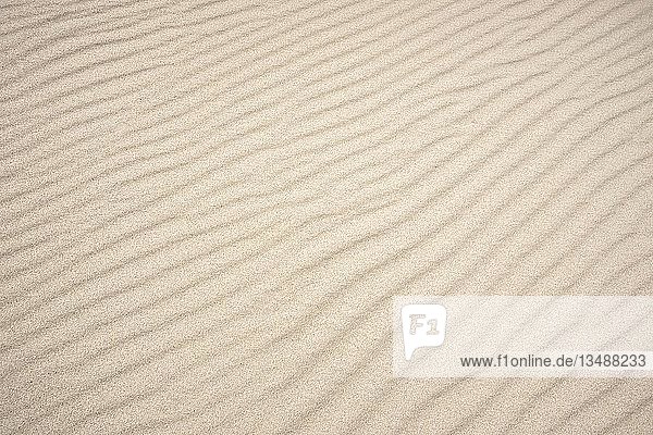 Hintergrundbild  Wellenstrukturen im hellen Sandstrand auf der Nordseeinsel Norderney  Ostfriesland  Niedersachsen  Deutschland  Europa