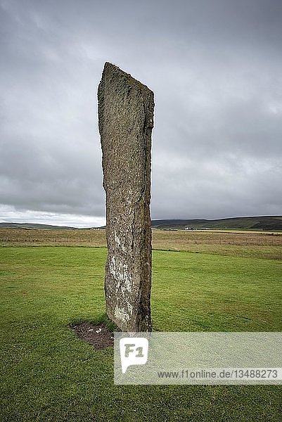 Stehender Stein vom neolithischen Steinkreis Stones of Stennes  Orkney Mainland  Schottland  Vereinigtes Königreich  Europa