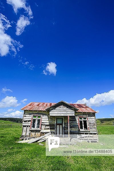 Altes  verfallenes Bauernhaus  Northland  Nordinsel  Neuseeland  Ozeanien