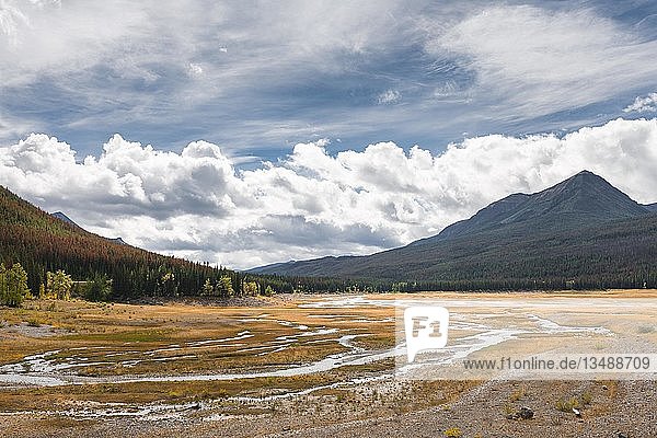 Ein Bach schlängelt sich durch eine Graslandschaft  Maligne Valley  Jasper National Park National Park  Canadian Rocky Mountains  Alberta  Kanada  Nordamerika