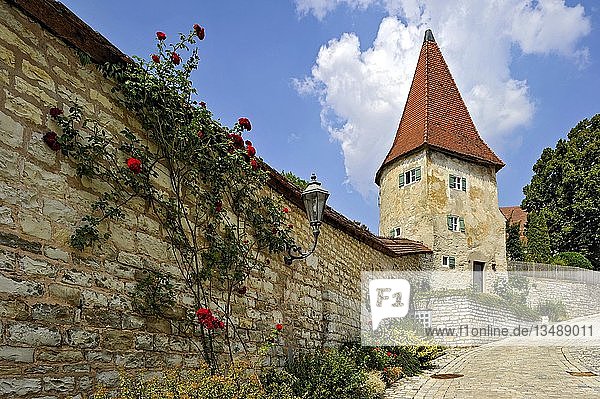 Mittelalterliche Stadtmauer mit Wehrturm  Altstadt  Greding  Mittelfranken  Franken  Bayern  Deutschland  Europa