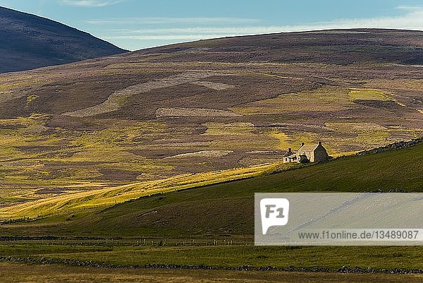 Landschaft mit alten Ruinen aus der Zeit der Highland Clearances  Highlands  Schottland  Großbritannien