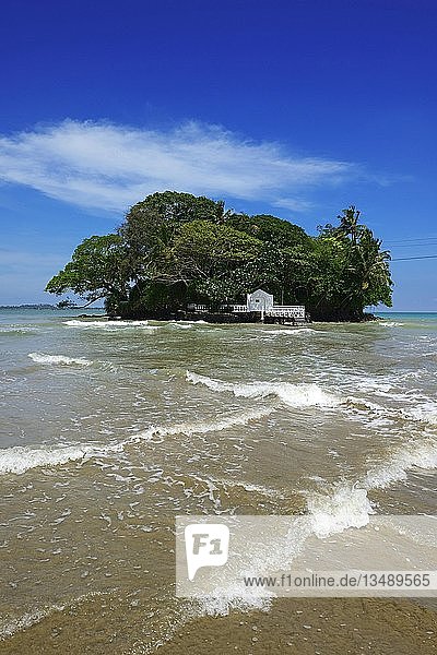 Strand von Weligama  Sri Lanka  Asien