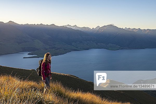 Female hiker at Isthmus Peak  Lake Wanaka and mountain panorama at atmospheric evening light  Otago  South Island  New Zealand  Oceania