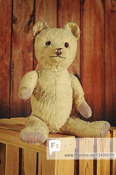 Alter Teddybär  ca. 1970  sitzend auf einer Holzkiste  Österreich  Europa