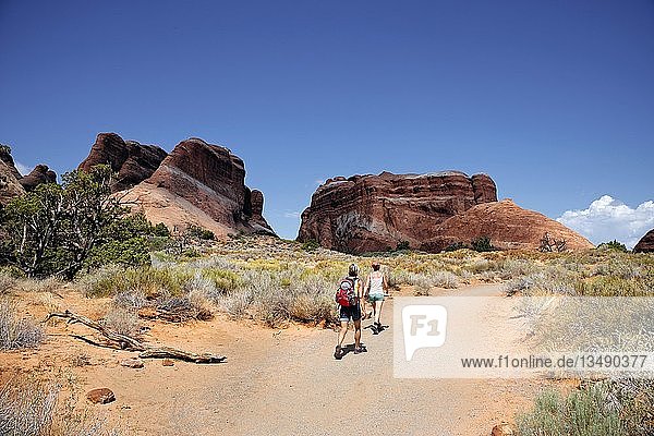 Wanderer auf einem Pfad in Devil's Garden mit durch Erosion entstandenen Sandsteinfelsen  Arches-Nationalpark  Devils Garden  Moab  Utah  Vereinigte Staaten  Nordamerika