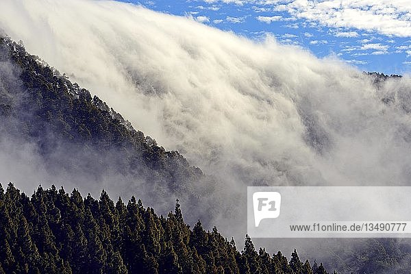Passatwolken  die über einen Bergkamm hängen  Nationalpark Teide  Teneriffa  Kanarische Inseln  Spanien  Europa