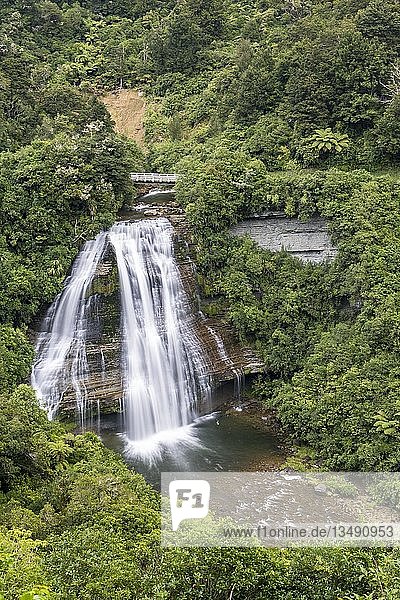 Mokau Falls  Wasserfall im Regenwald  Te Urewera National Park  Nordinsel  Neuseeland  Ozeanien