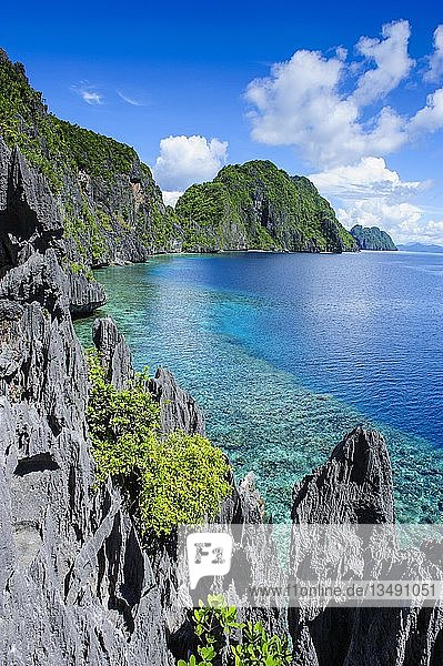 Küste mit kristallklarem Wasser und Kalksteinen  Bacuit-Archipel  El Nido  Palawan  Philippinen  Asien