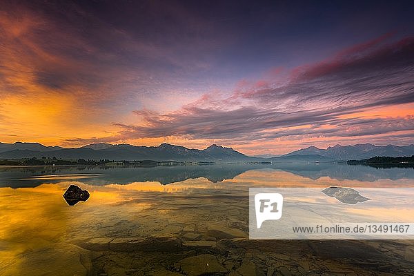 Forggensee mit Spiegelung des bewÃ¶lkten Himmels und der AllgÃ¤uer Berge im Hintergrund bei Sonnenaufgang  FÃ¼ssen  AllgÃ¤u  Bayern  Deutschland  Europa