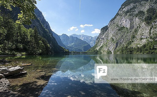 Obersee  Wasserspiegelung  hinter Watzmann-Massiv  Salet am Königssee  Nationalpark Berchtesgaden  Berchtesgadener Land  Oberbayern  Bayern  Deutschland  Europa