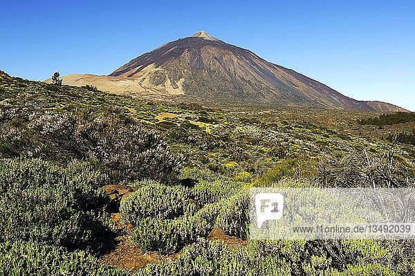 Mount Teide volcano  Teide National Park  Parque Nacional de las CaÃ±adas del Teide  Tenerife  Canary Islands  Spain  Europe