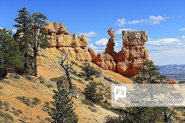 Fairyland Trail am Amphitheater  Bryce Canyon National Park  Utah  USA  Nordamerika