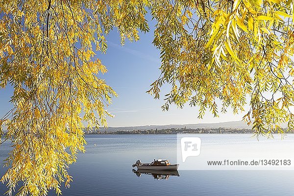 Boot im ruhigen See Herbststimmung Bodensee Allensbach Baden-Württemberg Deutschland Europa