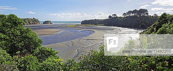 Bucht Three Sisters bei Ebbe Tongaporutu Nordinsel Neuseeland Ozeanien