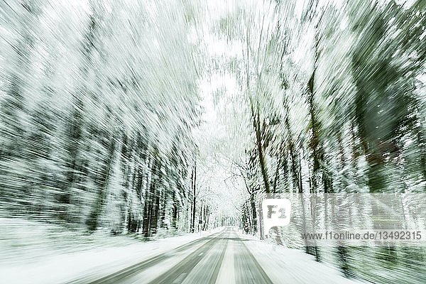 Schneebedeckte StraÃŸe in verschneitem Wald  glatte StraÃŸe  UnterallgÃ¤u  Bayern  Deutschland  Europa