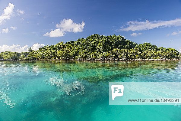 Klares Wasser auf der Vogelinsel  Tikehau  Tuamotu-Archipel  Französisch-Polynesien  Ozeanien