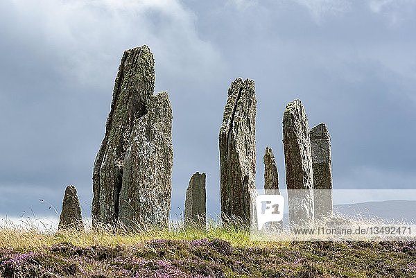 Ring of Brodgar  ca. 2500 v. Chr.  neolithischer Steinkreis  Henge  UNESCO-Weltkulturerbe  Orkney Mainland  Schottland  Vereinigtes Königreich  Europa