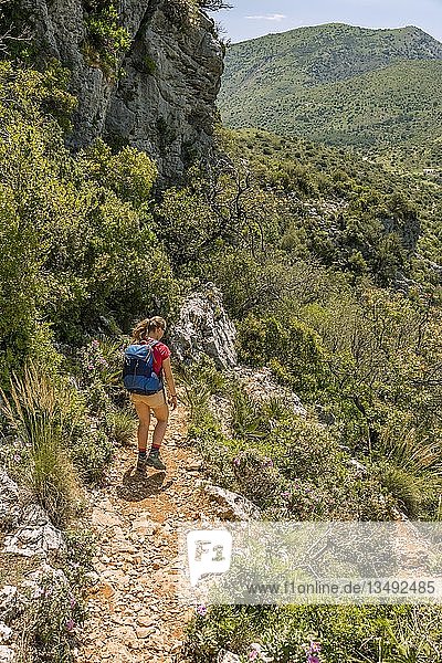 Female hiker on a hiking trail  The Green Gorge  Garganta Verde  Sierra de CÃ¡diz  CÃ¡diz  Spain  Europe