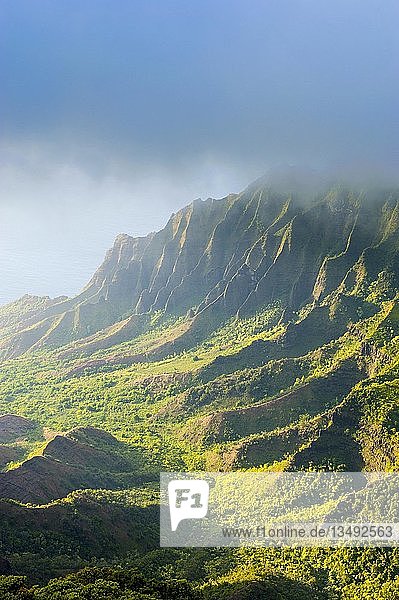 Napali-Küste mit grünen Bergen vom Aussichtspunkt Kalalau aus gesehen  N? Pali Coast State Park  Kauai  Hawaii  USA  Nordamerika